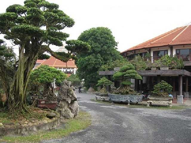 Ông còn được biết đến với biệt danh là Phiến 'cá' và là người sở hữu nhiều cây đẹp cũng như đắt tiền nhất Việt Nam. Khu vườn sinh thái của ông rộng 15 ha, trong đó 5 ha đất trồng và 10 ha mặt nước được ông thuê lại của thành phố.