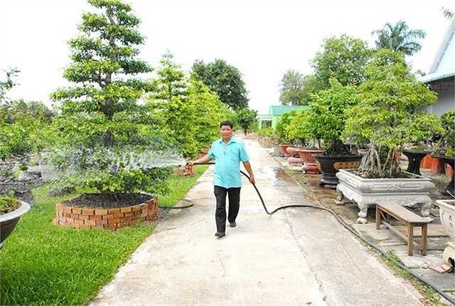 Với 50 chủng loại cây cổ và quý hiếm khác nhau, vườn kiểng của ông được giới chơi ước tổng giá trị gần 100 tỷ đồng. Hàng ngày có trên 30 công nhân lao động tham gia chăm sóc, bảo vệ.