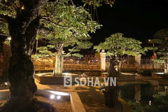 Tòa lâu đài Tổng Hải Sơn của một đại gia đam mê sưu tầm kiểng và đồ cổ tại Phủ Lý, Hà Nam cũng nổi tiếng với khuôn viên sân vườn bề thế với nhiều loại cây cảnh quý hiếm.