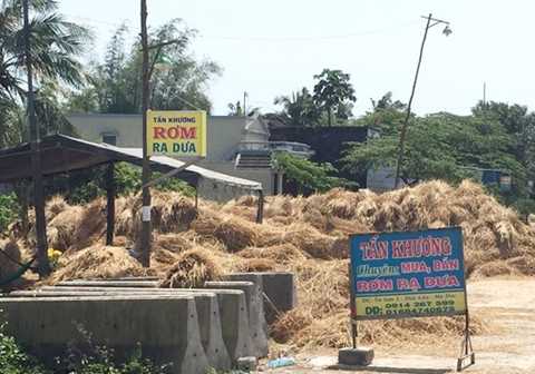 Kiếm bộn nhờ nghề buôn rơm rạ