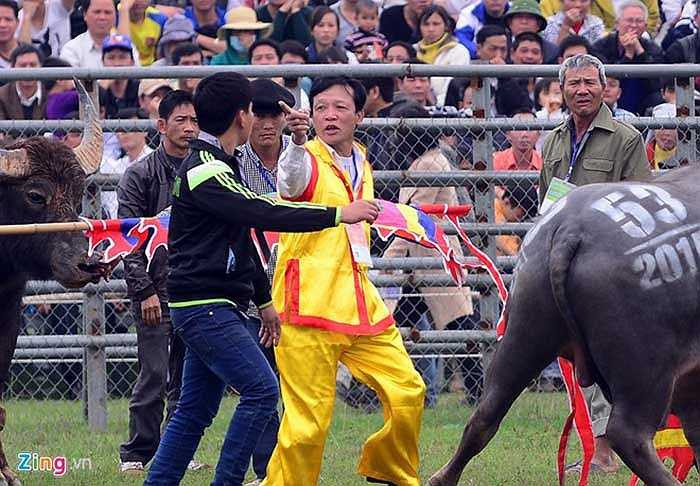 Một sự cố nhỏ đã xảy ra khi người chủ trâu đến từ Thượng Cốc cãi nhau với trọng tài. 