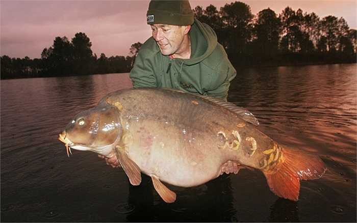 Bất chấp thời tiết giá lạnh lúc sáng sớm, chỉ mặc một chiếc áo mỏng Martin Lock đã ra sông và bắt được con cá chép nặng nhất thế giới với 42kg