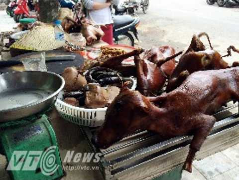 Hành trình từ sân nhà tới bàn nhậu của những chú chó nuôi