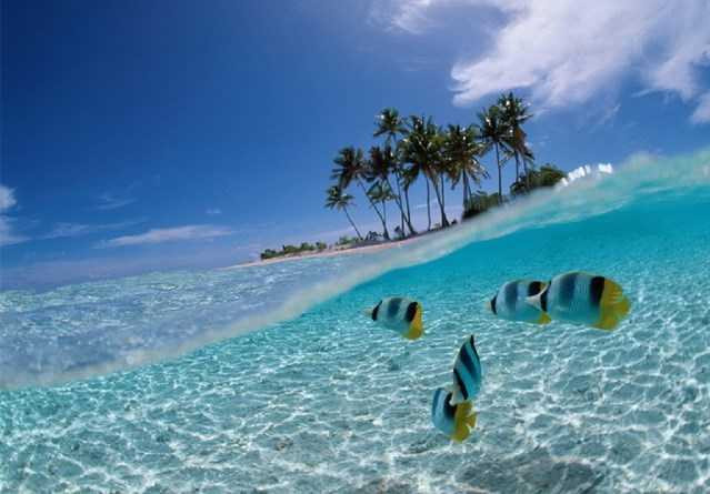 Công dân Việt Nam được miễn thị thực tới Indonesia