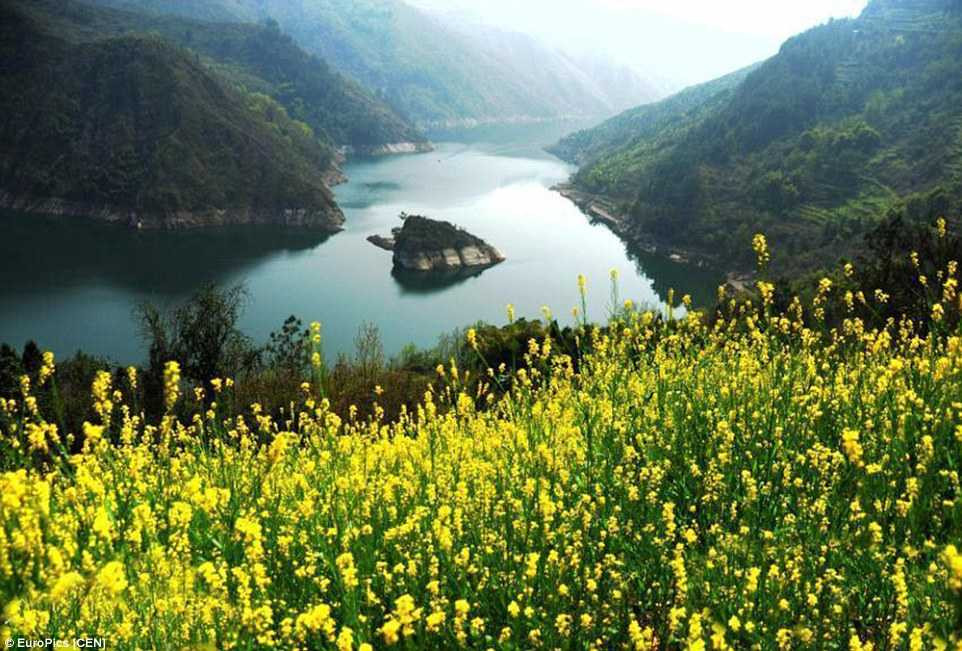 Kỳ bí đảo rùa chỉ 'hiện hình' vào mùa xuân