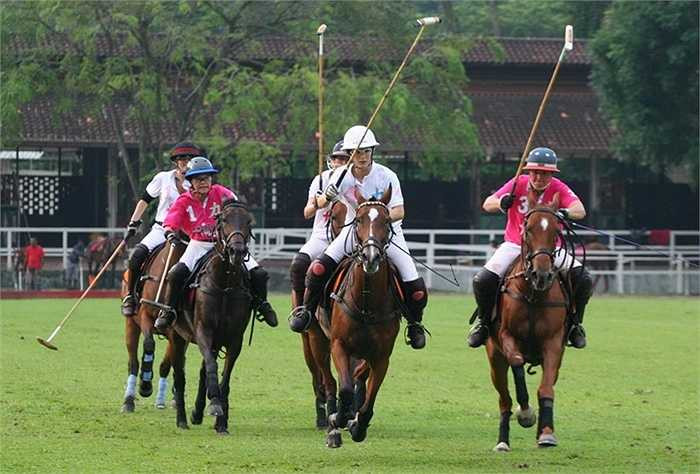 Polo, còn gọi là mã cầu, là môn thể thao có chi phí học không hề rẻ