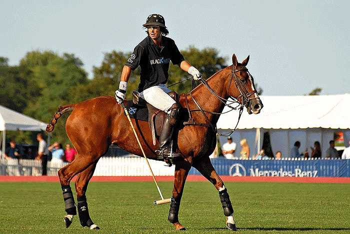 Một trận đấu polo được chia 6 đến 8 hiệp, mỗi hiệp kéo dài 7 phút, giữa mỗi hiệp nghỉ 3 phút và có 5 phút nghỉ giải lao giữa giờ. Tham gia trận đấu, mỗi đội chỉ có 4 người cưỡi ngựa và phải bằng mọi cách lấy được bóng, đánh vào gôn của đối phương