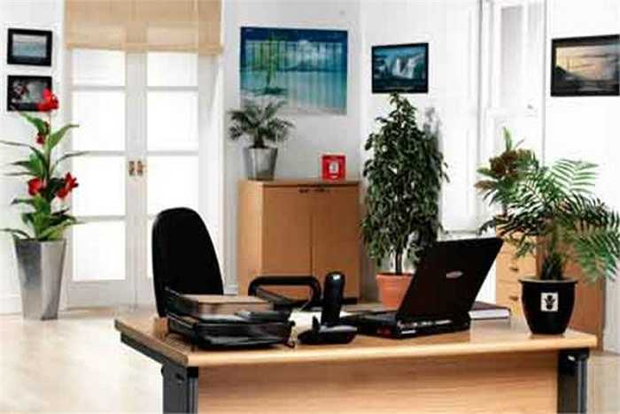 Cách hóa giải: Đơn giản nhất là khoác vào vai ghế ngồi của bạn một chiếc áo màu vàng. (Thông tin trong bài chỉ mang tính tham khảo).