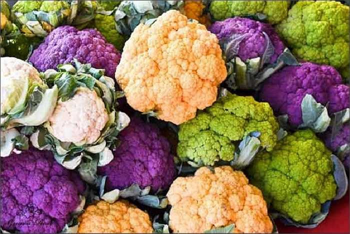 Súp lơ cầu vồng là một loại biến thể của súp lơ trắng với các màu sắc rực rỡ như tím, vàng, xanh. Khi được nấu chín chúng vẫn giữ được màu sắc và vẫn thơm ngon như loại súp lơ trắng thông thường.