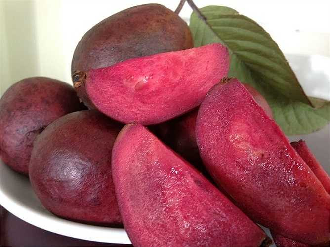 Ổi tím là loại ổi có xuất xứ từ Malaysia, khi chín, ruột ổi không có hạt và mềm. Cây khá dễ trồng, một năm là cho ra quả và có thể làm cây cảnh trong nhà