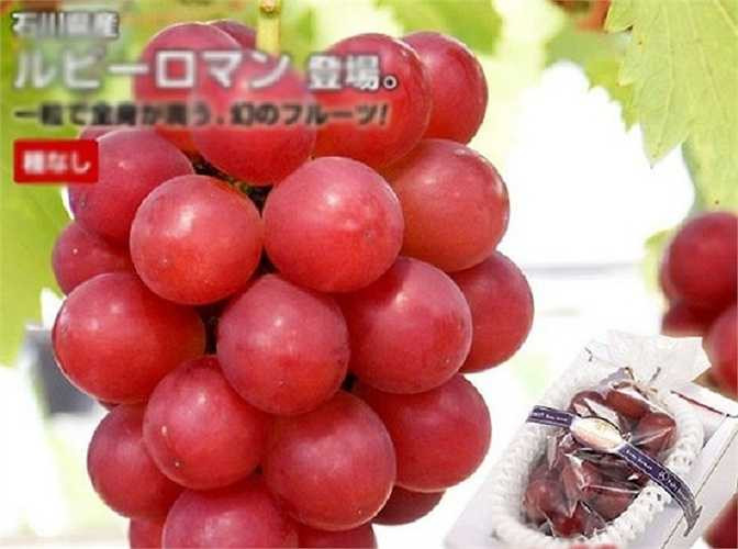 Giống nho tên là Ruby Roman, từng xác lập mức giá 6.400 USD (tương đương 136 triệu đồng) cho một chùm khoảng 30 quả tức 4,5 triệu đồng/quả. Đường kính trung bình của một quả nho Ruby là hơn 3cm, lớn hơn nhiều lần so với các loại nho thông thường và nặng trên 20g, chứa 18% đường.