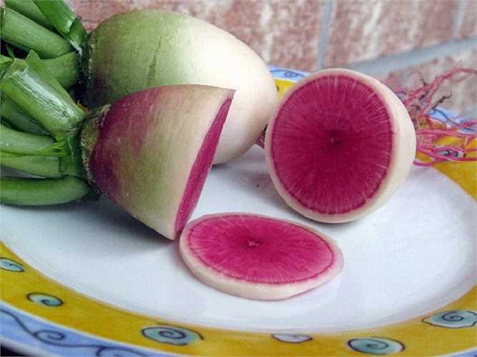 Củ cải ruột hồng (hay còn được gọi là củ cải dưa hấu) có nguồn gốc từ Trung Quốc, thời vụ trồng là cuối mùa hè và thu hoạch vào mùa thu (khoảng 60 ngày) và khi ăn có vị ngọt dịu, giòn tan nên rất được nhiều người ưa thích.