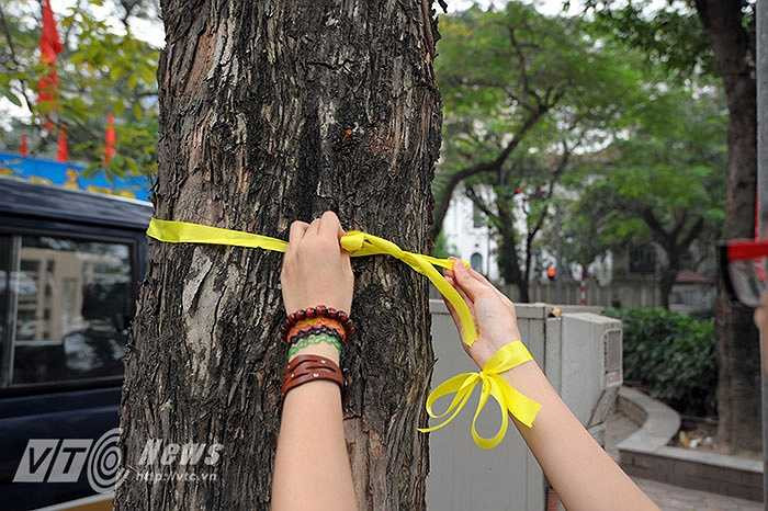 ‘Ý tưởng này của nhóm chúng em nhằm hướng tới tình yêu môi trường, tình yêu với vẻ đẹp cổ kính của thành phố Hà Nội vốn được mệnh danh là thành phố vì hòa bình, dù có hay không việc thành phố gần đây tổ chức chặt hạ nhiều cây xanh.’ T.L chia sẻ thêm.