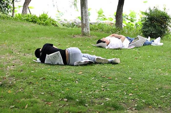 Đánh giấc ở bãi cỏ công viên