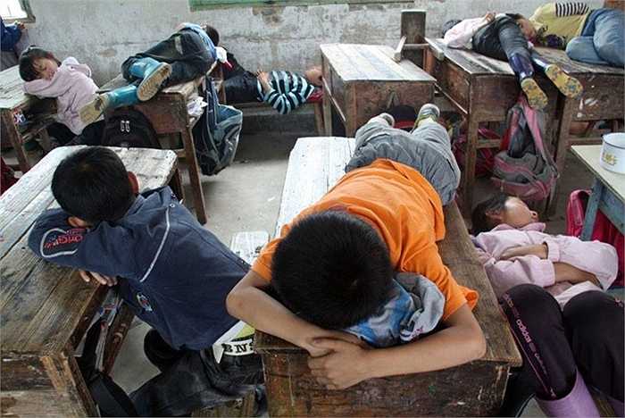 Trẻ em ngủ sau giờ học trên bàn ghế
