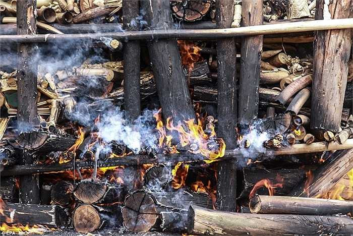 Gỗ được đặt chung với ngà voi để đẩy nhanh quá trình thiêu hủy