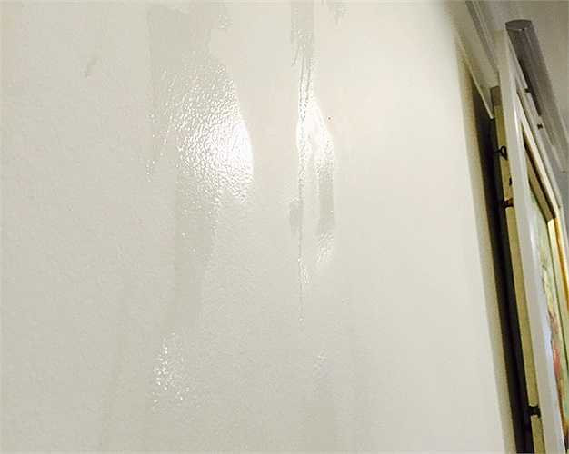 Dù vừa mới nhận nhà, nhưng tường nhà anh Sơn - tòa A3 đã có hiện tượng nước thấm ra ngoài tường thành dòng nước