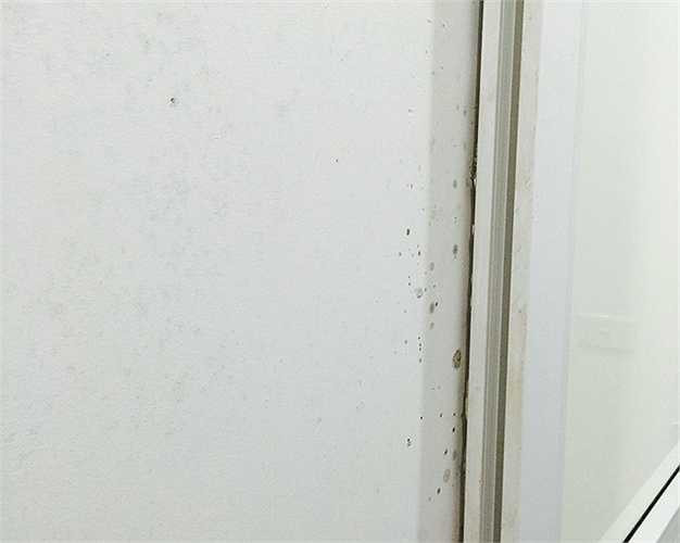 Hiện tượng thấm mốc không chỉ diễn ra ở một, hai căn hộ mà hàng loạt căn hộ đang bị tình trạng này