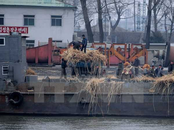 Công nhân Triều Tiên làm việc tại bến sông Yalu