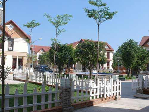 lấp sông đồng nai