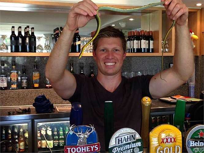 Một con rắn được Richie tóm gọn khi đang bị kẹt giữa giá để rượu. Anh cho biết chỉ tính riêng năm ngoái, anh đã bị rắn cắn 12 lần. Còn tính tới thời điểm này trong đời, anh đã chịu 100 vết cắn của một trong những sinh vật nguy hiểm nhất hành tinh.