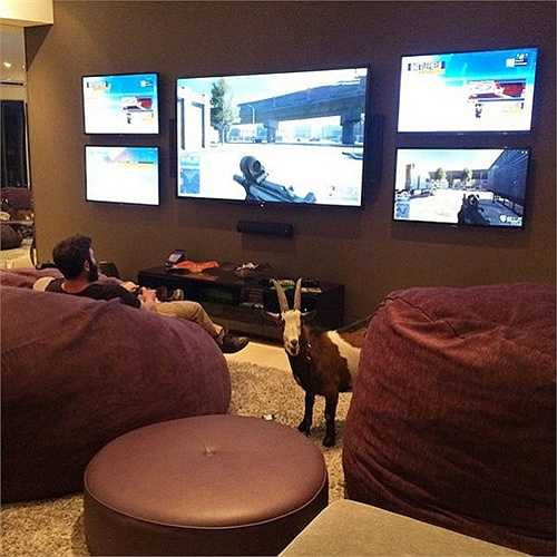 Tuy nhiên, dần dần Dan đã kiếm được rất nhiều tiền. Dan có lối sống thoải mái bằng số tiền kiếm được. Ảnh chụp Dan đang chơi game trong phòng giải trí tại gia