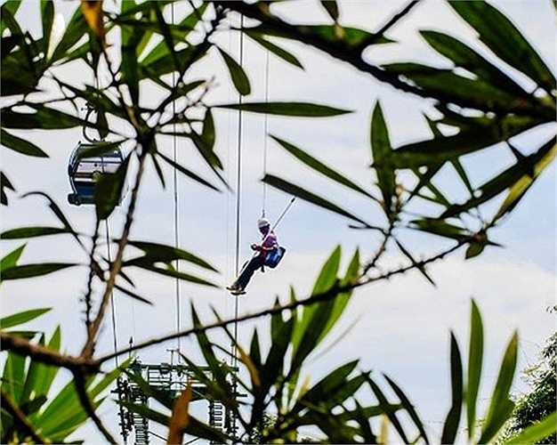 và các chàng 'Tarzan' đu dây xuống rừng nhặt rác. Việc đu dây sẽ giúp nhặt rác ở những địa hình hiểm như trên tán cây, ngọn cây, trên vách núi, chỏm đá trên thác...