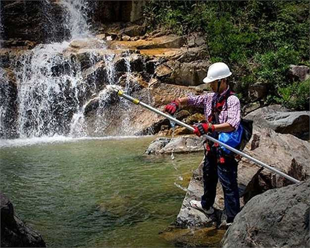 Ban quản lý Khu du lịch Bà Nà Núi Chúa rất quan tâm đến bảo vệ thiên nhiên, gìn giữ không gian của khu rừng nguyên sinh Bà Nà. Chính vì thế, các 'Tarzan' thường xuyên thực hiện nhiệm vụ để đảm bảo vệ sinh môi trường và rừng nguyên sinh được bảo hộ nguyên trạng. Những ngày sương mù, hay vào mùa đông, việc nhặt rác trở nên khó khăn hơn nhiều.