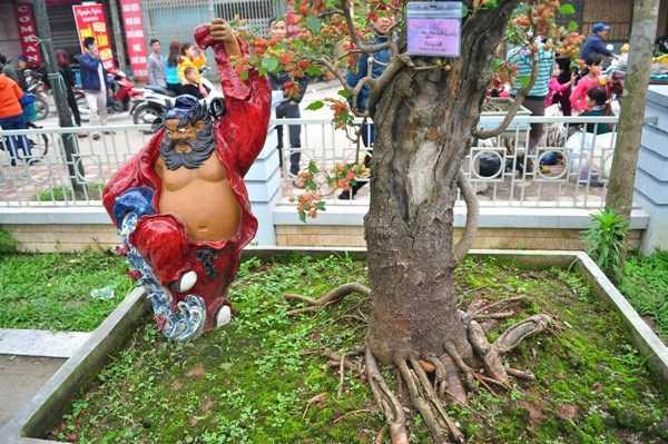 dâu tằm 32 tuổi