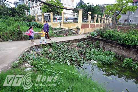 Rùng mình với cảnh muỗi bao vây nhà dân giữa lòng Hà Nội