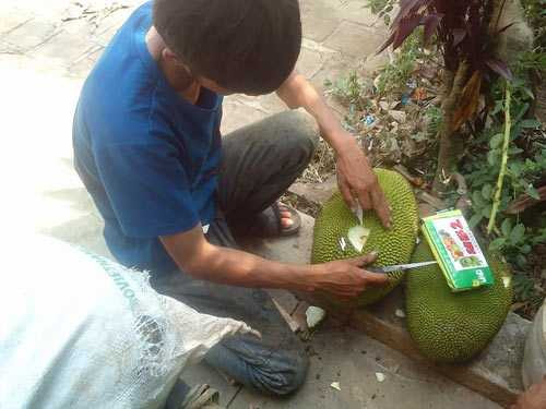 Buôn mận lãi 10 triệu, mua cọng hành 3 ngàn