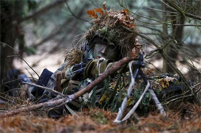 Hòa mình vào môi trường