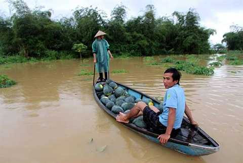 Quảng Nam, lũ lụt, nước sông lên nhanh, hoa màu, mất trắng, nông dân, thiệt hại