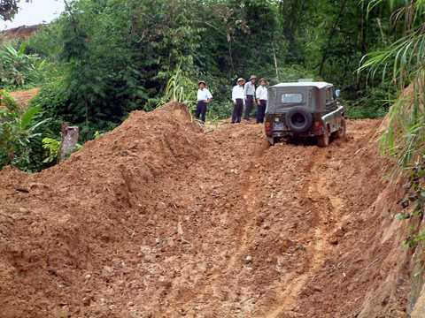 1.000 tấn sâm Ngọc Linh: Giấc mơ giá 2 tỷ USD trên đỉnh núi