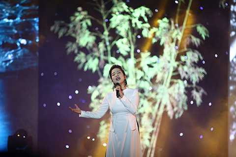 Đàm Vĩnh Hưng, Đà Nẵng, kỷ niệm 40 năm, Giải phóng thành phố, nghệ thuật,