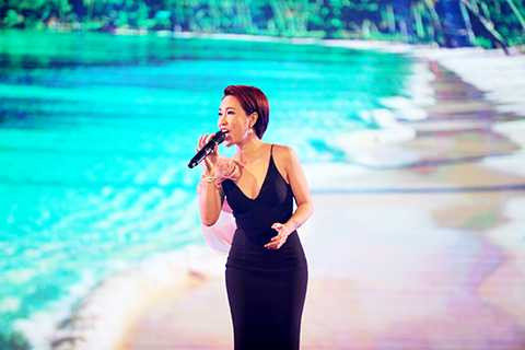 Đàm Vĩnh Hưng, Đà Nẵng, kỷ niệm 40 năm, Giải phóng thành phố, nghệ thuật,