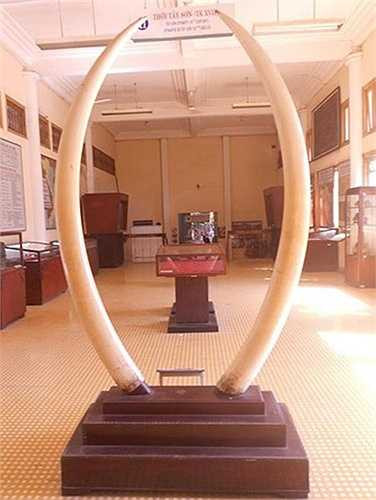 Bên trong những căn nhà hoành tráng một thời của giới đại gia giàu có, nhiều người có thể bắt gặp những cổ vật quý hiếm. Cuối thế kỷ 19, dòng họ Dương ở Bình Thủy (Cần Thơ) đã bỏ ra 4 ngàn đồng bạc trắng (tiền Đông Dương) để mua cặp ngà voi độc nhất vô nhị.