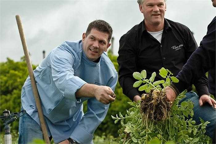 Được biết đến như vua của các loài khoai tây, La Bonnotte được trồng trên quy mô nhỏ và thu hoạch bằng tay mỗi năm một lần.