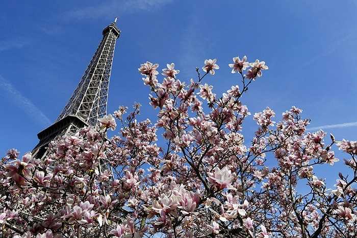 18cm là chiều cao Eiffel có thể tăng lên do quá trình giãn nở nhiệt của kim loại