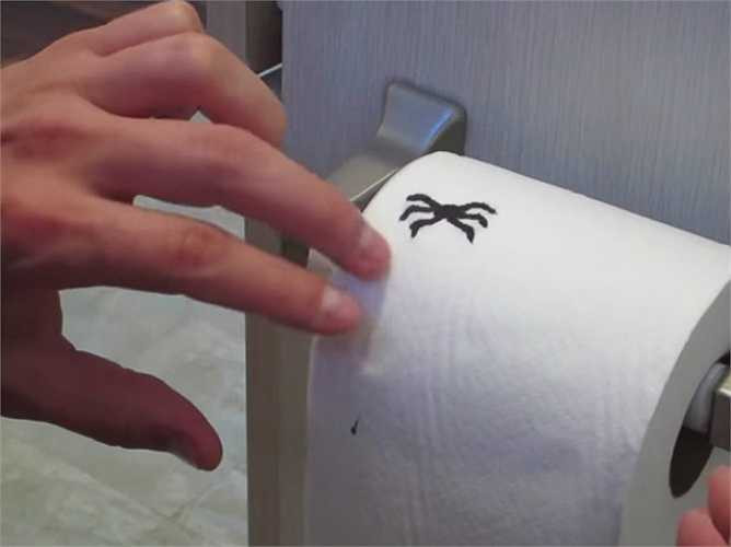 Vẽ hình con nhện lên giấy vệ sinh.