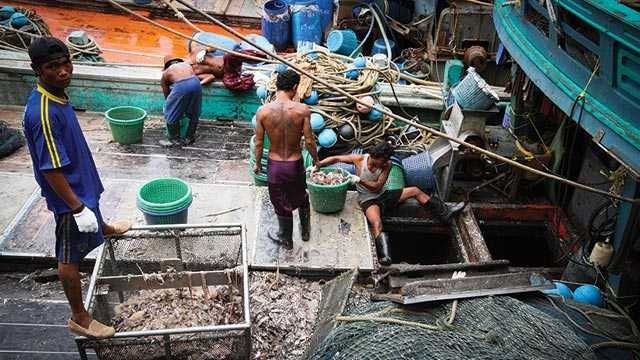 Những sản phẩm của nô lệ lao động mà bạn chưa biết