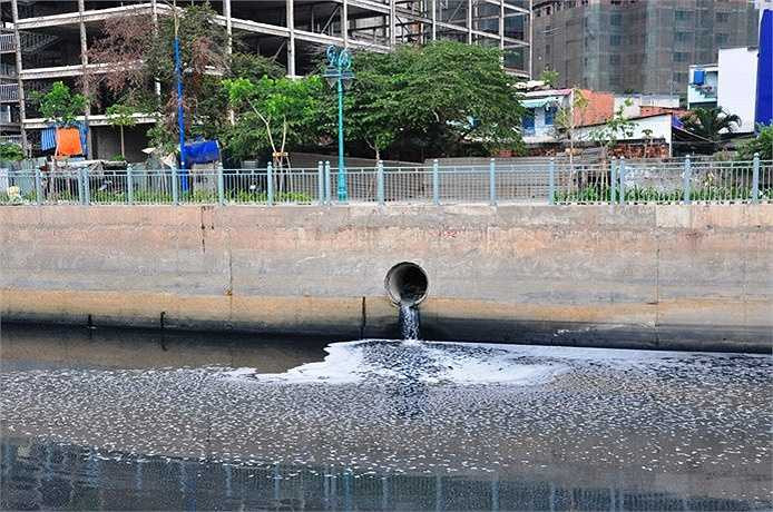 Dòng nước trên kênh Tân Hóa - Lò Gốm đã bớt ô nhiễm sau hơn 3 năm cải tạo.