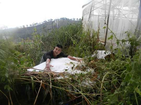 Mưa đá, lốc xoáy kinh hoàng tàn phá Đà Lạt