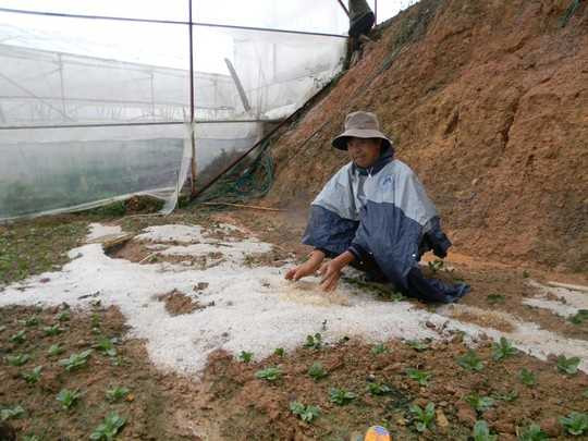 Mưa đá, lốc xoáy kinh hoàng tàn phá Đà Lạt