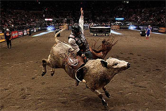 Tay đua bò có thể bị ít nhất một chấn thương nghiêm trọng trên mỗi 15 cuộc đua mà họ tham gia bao gồm cả chấn thương, gãy xương, và những tổn thương không thể thanh toán bằng tiền mặt.