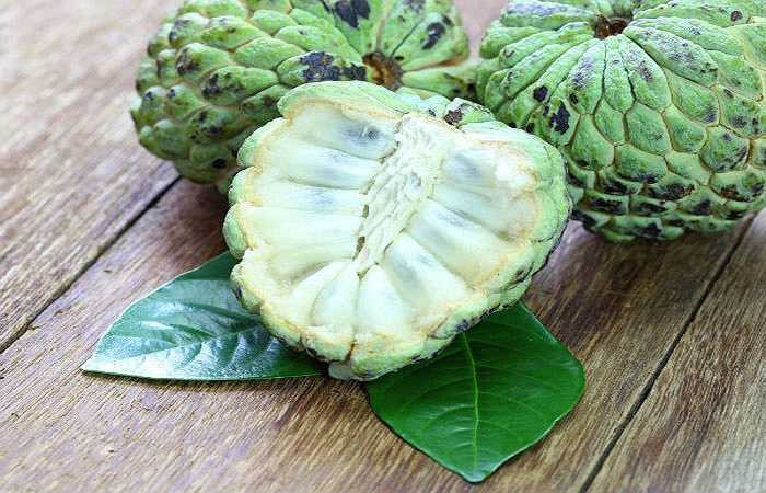 Trái na giàu magie và kali. Loại kali thường sẽ hỗ trợ quá trình hình thành tế bào và kali huyết thanh thì lại giúp điều chỉnh mức insulin trong cơ thể. 