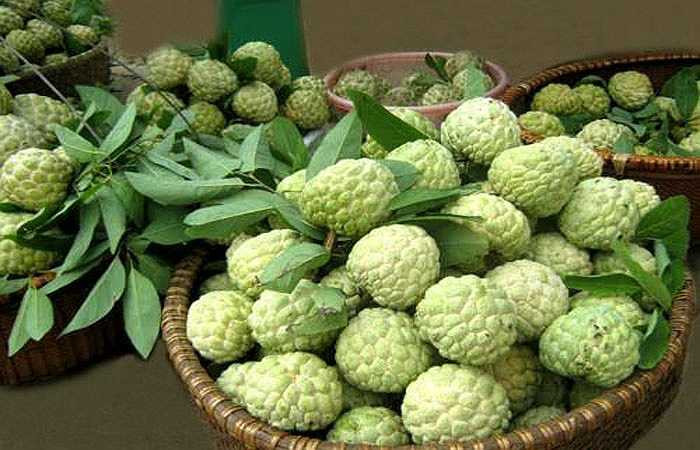 Tuy nhiên, khi lượng sắt được bổ sung vượt quá mức cần thiết thì có thể gây ra nhiều vấn đề khác cho bệnh nhân tiểu đường. Do đó, bệnh nhân tiểu đường cần được chăm sóc và có một chế độ ăn uống phù hợp. 