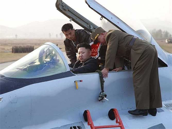 Lực lượng phòng không chủ yếu sử dụng loại máy bay bán hiện đại, MiG-29, sản xuất vào những năm cuối cùng của Xô-viết, cùng với vài chiếc đời cũ hơn