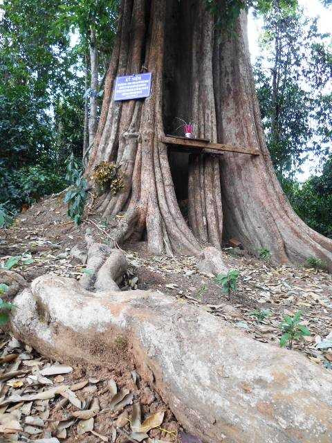 Cựu chiến binh TP.HCM thăm 'người rừng' ở Bình Phước