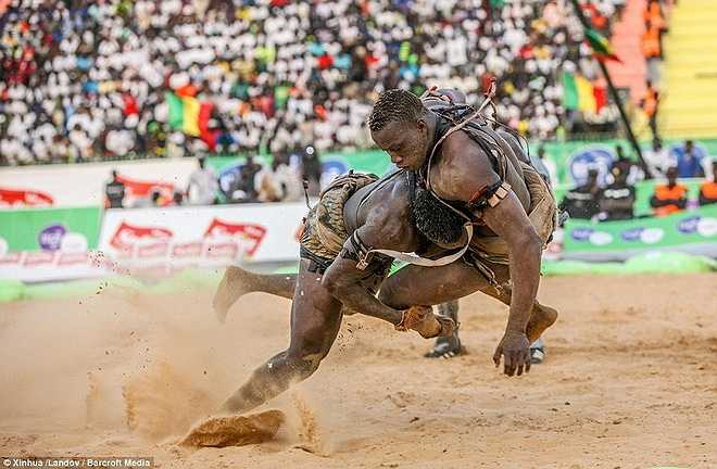 Mỗi trận đấu thường kéo dài từ mười giây tới bốn phút. 